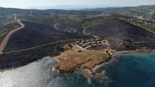 Seferihisarda yanan alan havadan görüntülendi