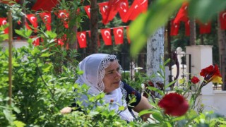 Şehit annesi: Biz Mehmetçiklerimizin sayesinde ayaktayız, bir gitse de bin geliyor