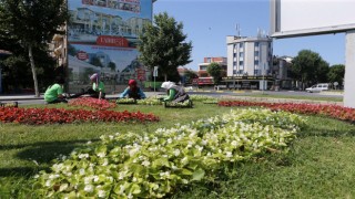 Şehrin caddeleri çiçek bahçesi gibi olacak