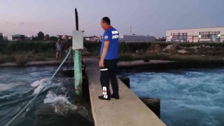 Serinlemek için girdiği sulama kanalında kayboldu