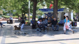 Sıcağı gören parklara koştu