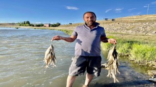 Sıcaktan bunalan vatandaşlar soluğu Murat Nehrinde aldı