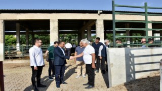 Siirt Valisi Hacıbektaşoğlu, kurban kesim alanlarını denetledi