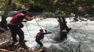 Siirtte kayıp hemşireyi arama çalışmaları 33üncü gününde
