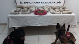 Sınırdan geçirilen 2 milyon lira değerindeki 11 kilogram bonzai ele geçirildi