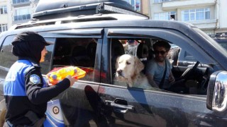 Sinop Valisi, Bakan Soyluya bayram tedbirlerini anlattı