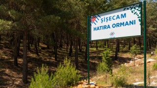 Şişecam Diktiği Fidanlarla Umutları Yeşertiyor