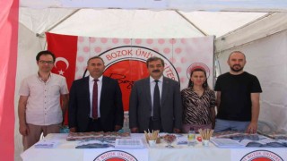 Sivasta 13 üniversite görücüye çıktı