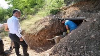 Sokak canlıları için doğal yaşam alanları oluşturuldu