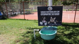 Sokak hayvanları için otomatik sulama sistemi