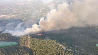 Sökedeki yangına 7 helikopter ve 4 uçakla müdahale devam ediyor