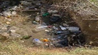 Su kuyusuna düşen 2 köpek itfaiye ekiplerince kurtarıldı