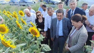 Tarım ve Orman Bakan Yardımcısı Pakdil: Rekolte açısından bir kaybımız olmaz