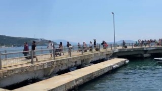 Tatilciler 9 günlük bayram tatilinde Avşaya akın etti
