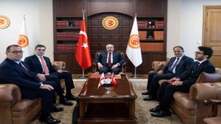 TBMM Başkanı Şentop, Gürcistan Dışişleri Bakanı Darchiashviliyi kabul etti