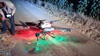 Tekirdağda tırtıl istilası: Dron ile operasyon başlatıldı