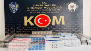 Terörün finans kaynaklarına operasyon: 20 gözaltı