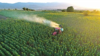 Tırtıl basan tarlalara, İnegöl Belediyesinden anında müdahale