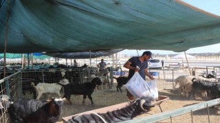 Toroslarda kurban satış ve kesim alanları hazırlandı