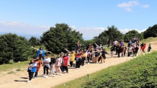 TÜGVAdan Yaz Okulu ve Doğa Kampı