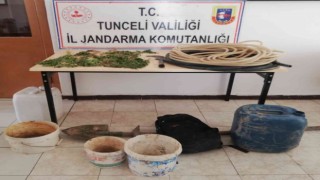 Tuncelide bir evde kenevir ele geçirildi