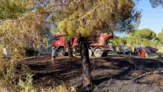 Turizm bölgesindeki yangın golf sahasına sıçradı