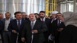 Türkiyeden 90 ülkeye sitrik asit ihracatı