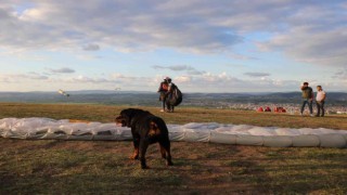 Uçmayı seven köpek Sakarya semalarında işte böyle dolaştı