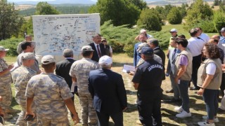 Vali Ali Çelik, Altıntaş ve Dumlupınar ilçelerinde