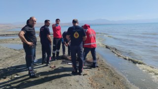 Van Gölüne giren çocuklardan 2sinin cansız bedeni bulundu