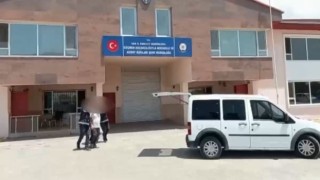 Vanda 6 organizatör tutuklandı
