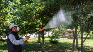 Vanda bayram öncesi park, bahçe ve mesire alanları ilaçlanıyor