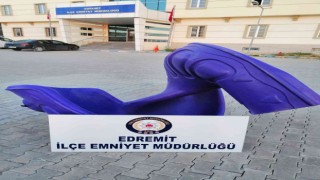 Vanda kaydırak hırsızları tutuklandı