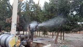 Viranşehir Belediyesi ilaçlama çalışmalarını sürdürüyor