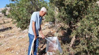 Yaban hayvanları için doğaya su bırakıldı