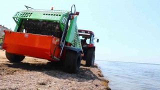 Yalova Çiftlikköyde yosunlar gübreye dönüşüyor