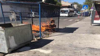 Yanan geri dönüşüm konteynırını vatandaşlar söndürdü