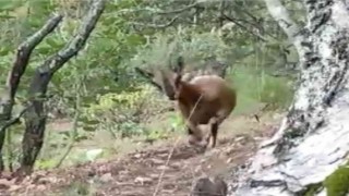 Yangının kahramanları nöbete devam ediyor