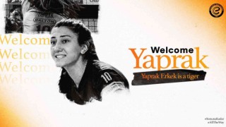 Yaprak Erkek, Eczacıbaşı Dynavitte