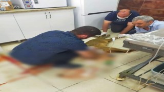 Yaralı olarak bulunan karaca tedavi altına alındı