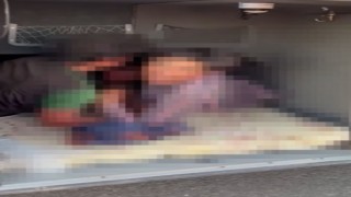 Yasadışı göçmenler otobüs bagajında yakalandı