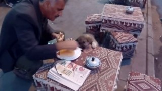 Yemeğini sokak köpeği ile paylaşan vatandaşlar yürekleri ısıttı