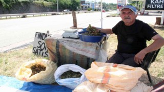 Yeni sezon fındığı yol kenarlarında satışa çıktı