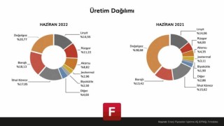 Yenilenebilir enerjinin payı artıyor