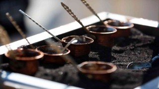 Yenimahalleliler Kahve Festivalinde buluşacak