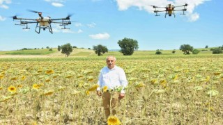 Yenişehirde çayır tırtılı zararlısına anında müdahale ile ekonomiye 300 milyon TL kazandırıldı