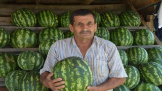 Yetiştirdiği organik karpuzları yol kenarında satıyor