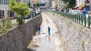 Yıldırımda hijyen harekatı