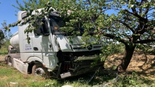Yoldan çıkan tanker kayısı bahçesine girdi