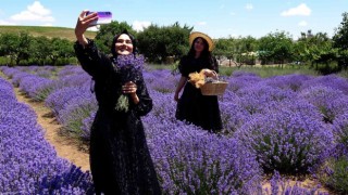 Yozgatta lavanta bahçesi doğal stüdyo alanına döndü